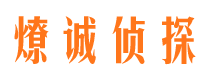 麒麟市私家侦探